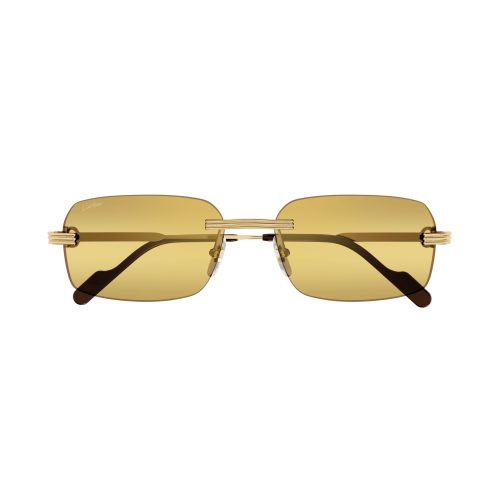 CT0271S Rectangle Sunglasses 007 - size 58