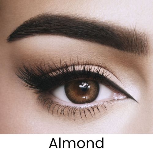 Almond Colored Contact Lens - Monthly