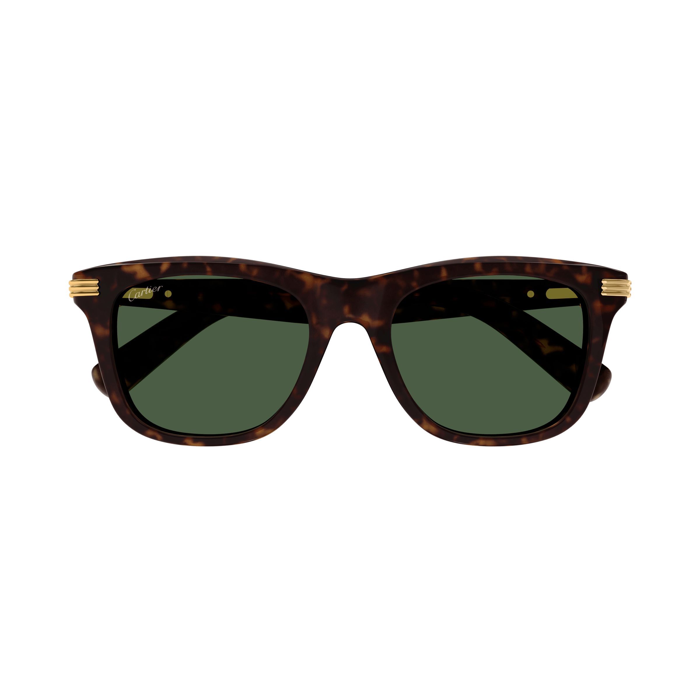 CT 0396S 002 Square Sunglass size 53