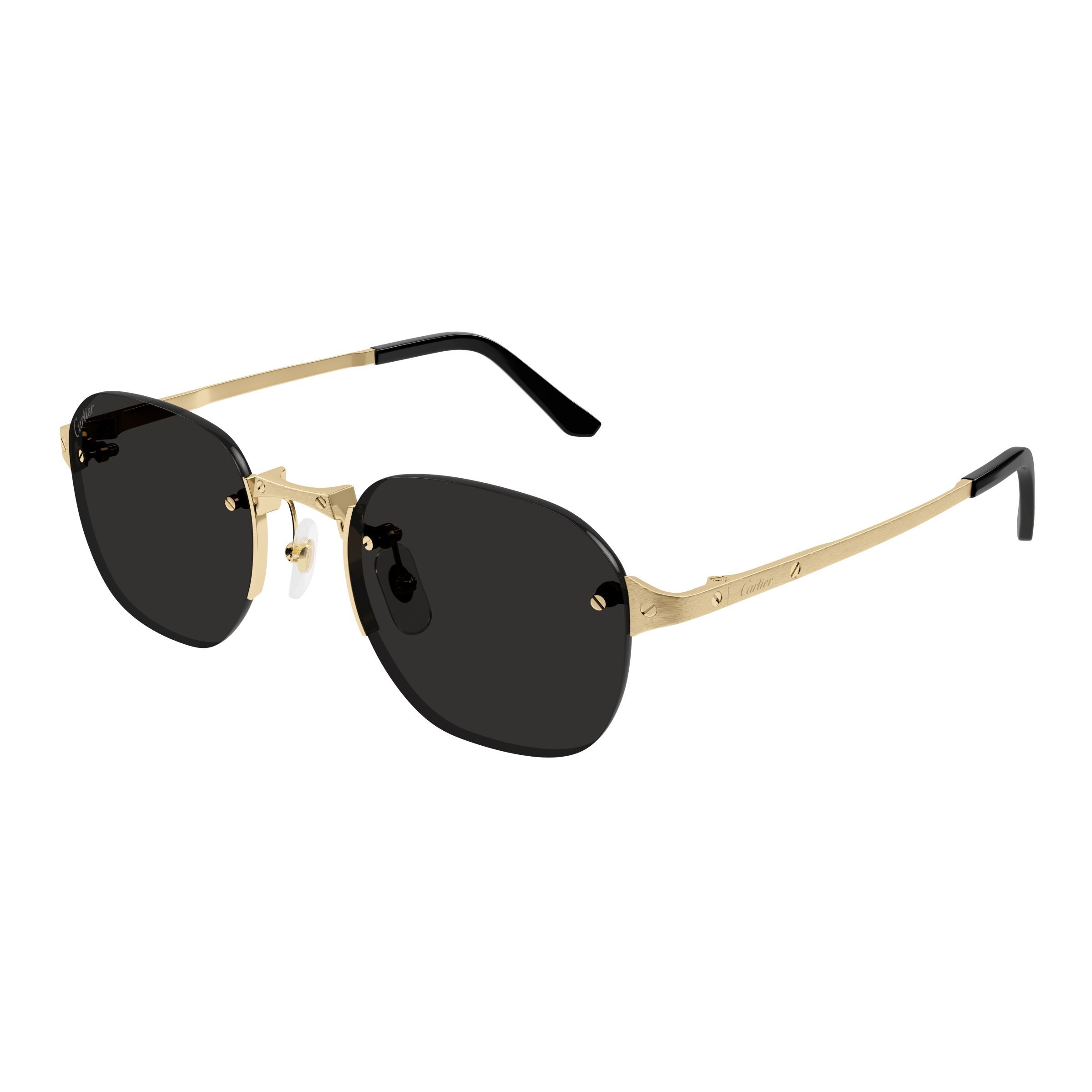 CT0459S Square Sunglasses 005 - size 53